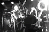 korngif.gif