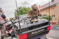 hd-praha-plzen-2013-web-5.jpg