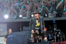 acdc-praha-2016-26.jpg