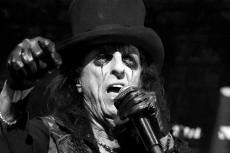 alice-cooper-beat-5.jpg