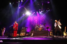 beat-pro-beat-10.jpg
