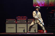 gibbons-beat-5.jpg