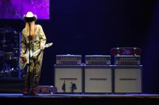 gibbons-beat-6.jpg