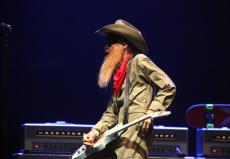 gibbons-beat-9.jpg