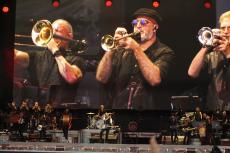 springsteen-beat-2025-24.jpg