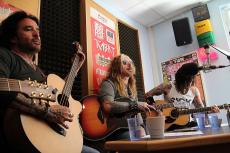 dead-daisies-16.jpg
