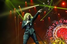 1-whitesnake-12.jpg