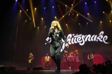 1-whitesnake-2.jpg