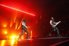 02-disturbed-18.jpg