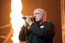 02-disturbed-26.jpg