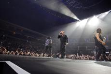 02-disturbed-27.jpg