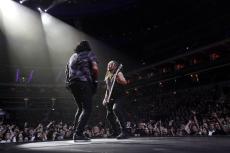 02-disturbed-4.jpg