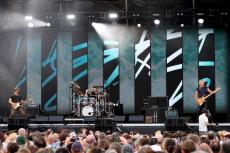 sting-10.jpg