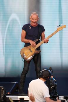 sting-2.jpg