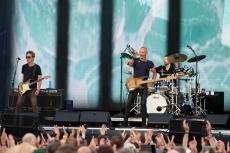 sting-4.jpg