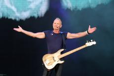 sting-6.jpg