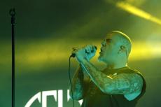 pantera-11.jpg