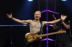 sting-1.jpg