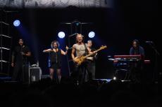 sting-10.jpg