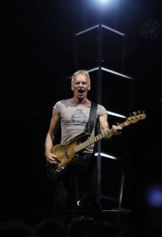 sting-11.jpg