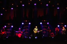sting-12.jpg
