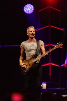 sting-13.jpg