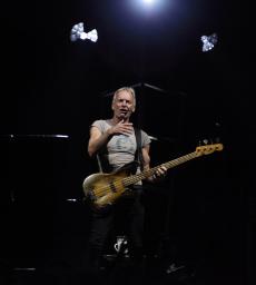 sting-4.jpg