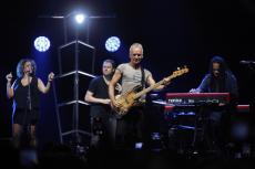 sting-5.jpg