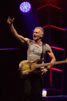 sting-7.jpg