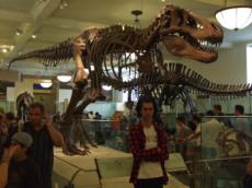 american-museum-of-natural-history2.jpg