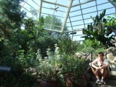 brooklyn-botanic-garden8.jpg